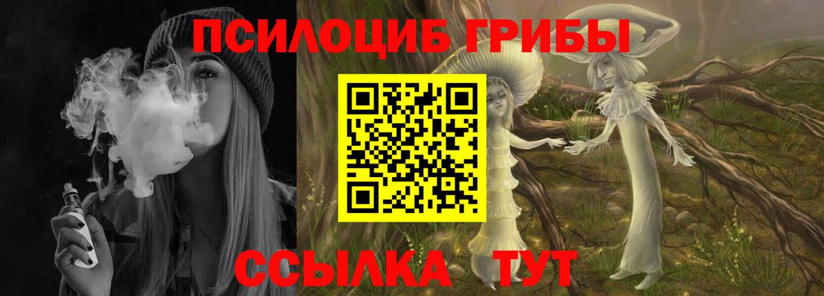 купить  цена  Вход с VPN  Киселёвск  Галлюциногенные грибы Magic Shrooms 
