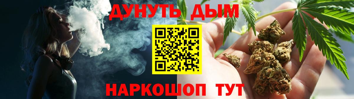 Конопля Киселёвск